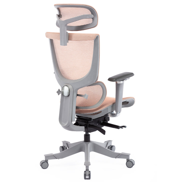 Latitude Run® Tatamy Office Ergonomic Mesh Task Chair & Reviews Wayfair